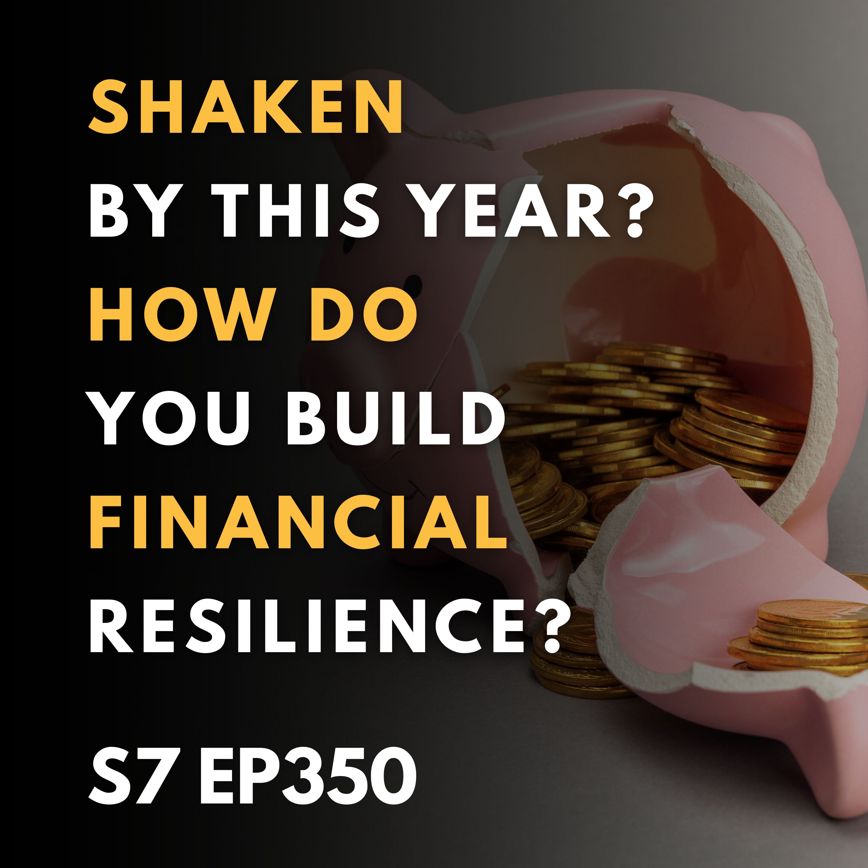 Shaken by This Year? How Do You Build Financial Resilience?