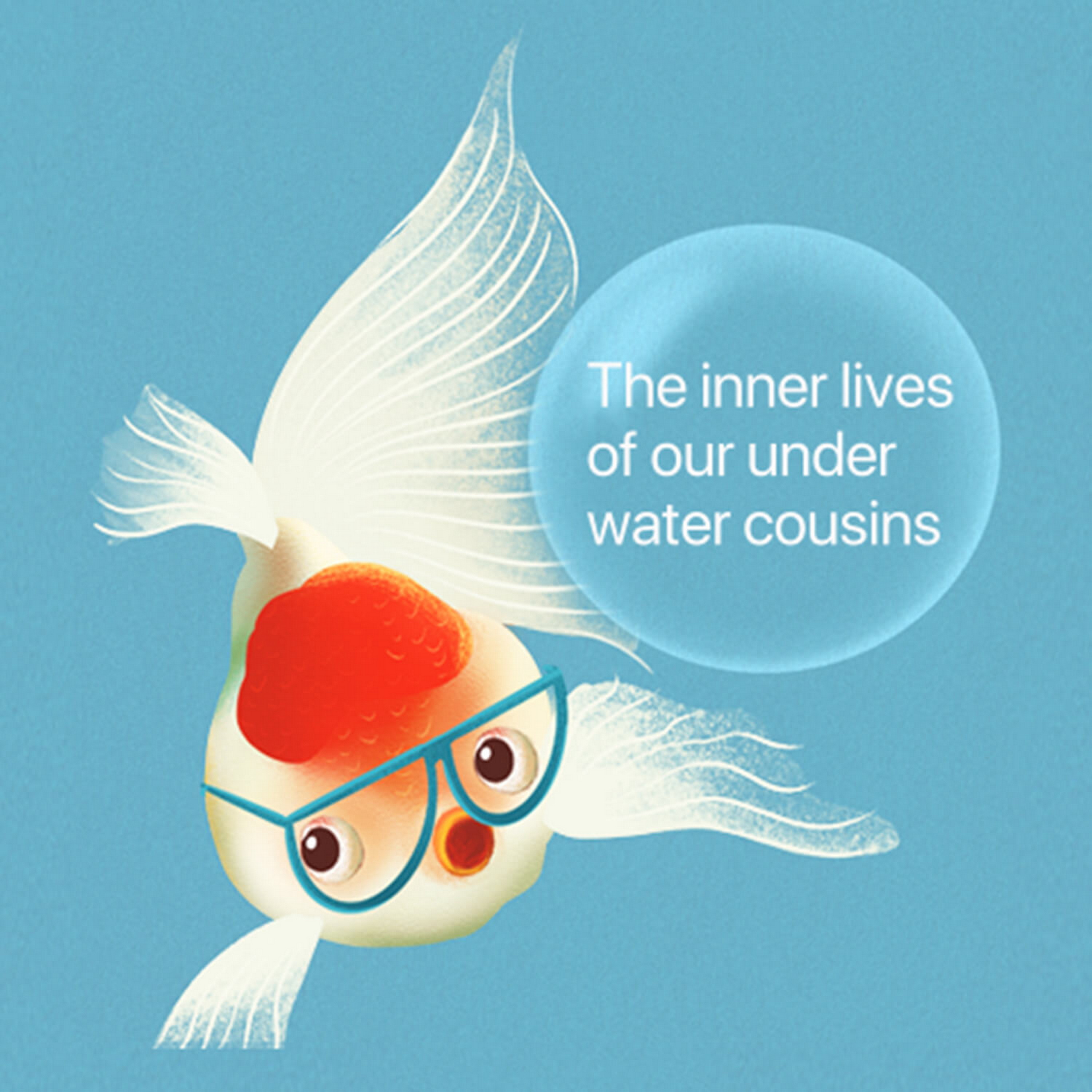 What a Fish Knows: Unlocking the Underwater World