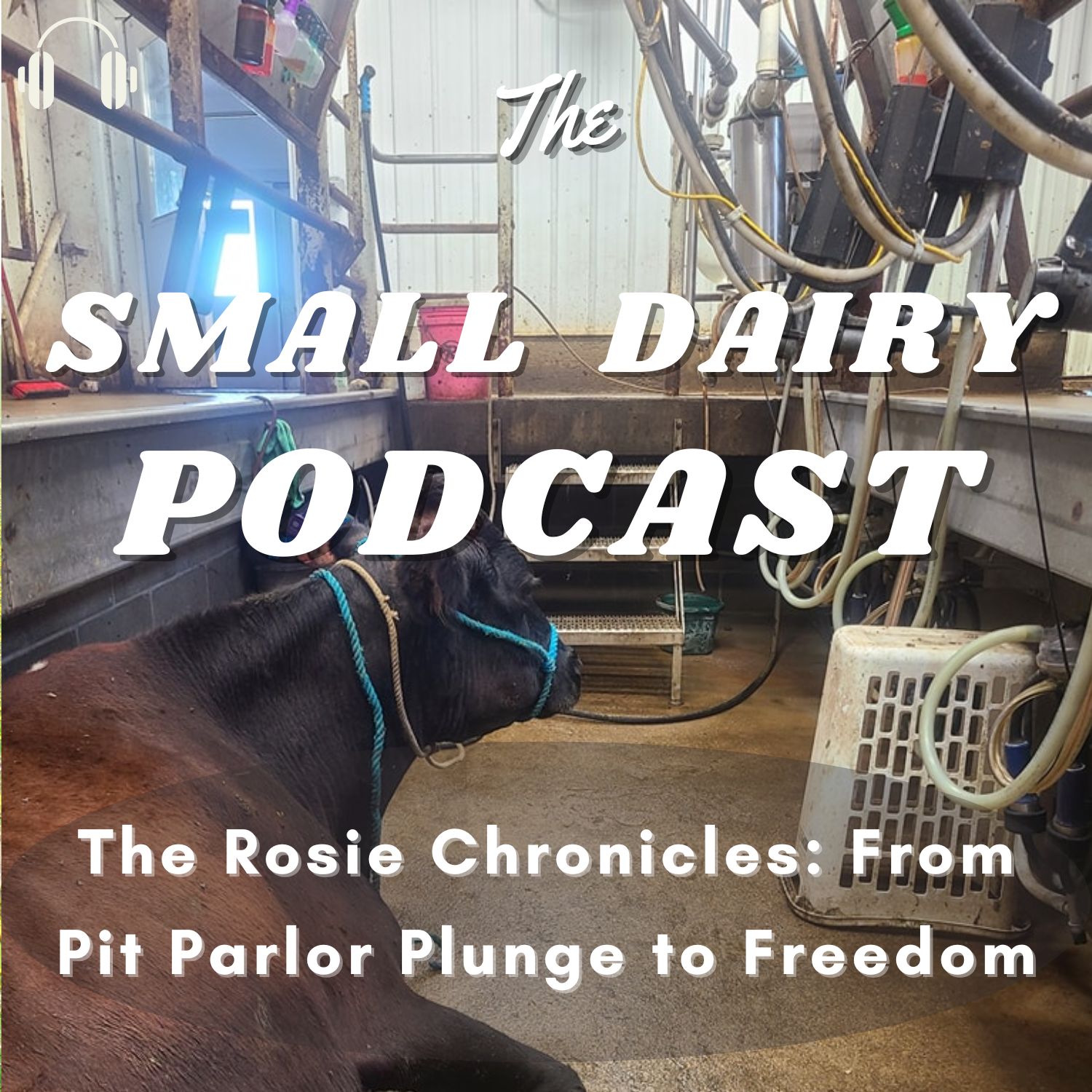 Artwork for podcast The Small Dairy Podcast