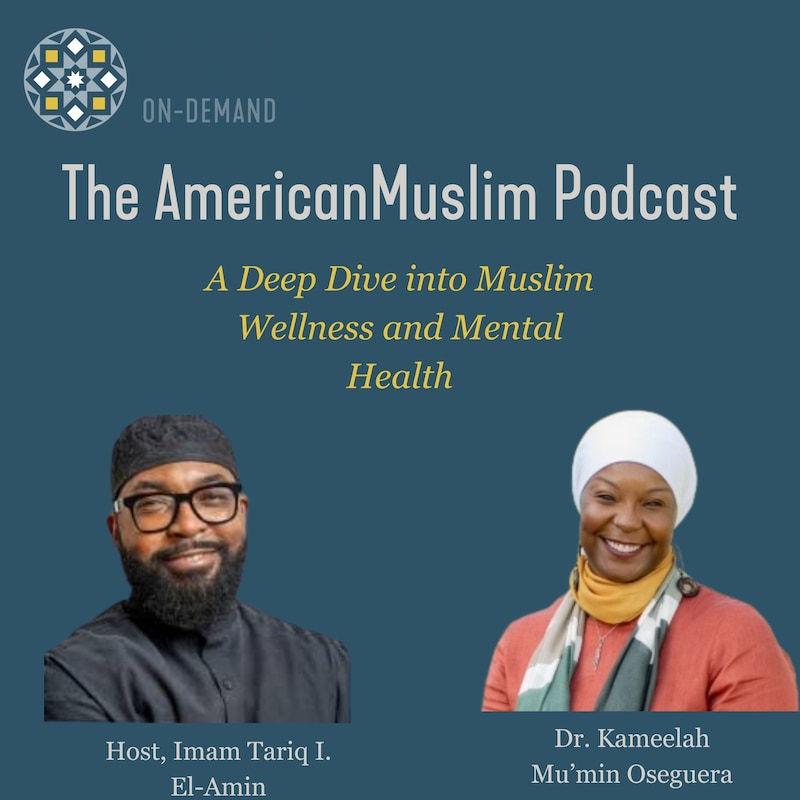 Artwork for podcast The American Muslim Podcast