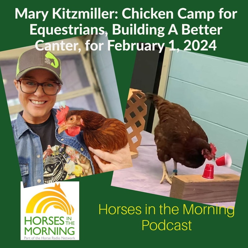 Artwork for podcast Horses in the Morning