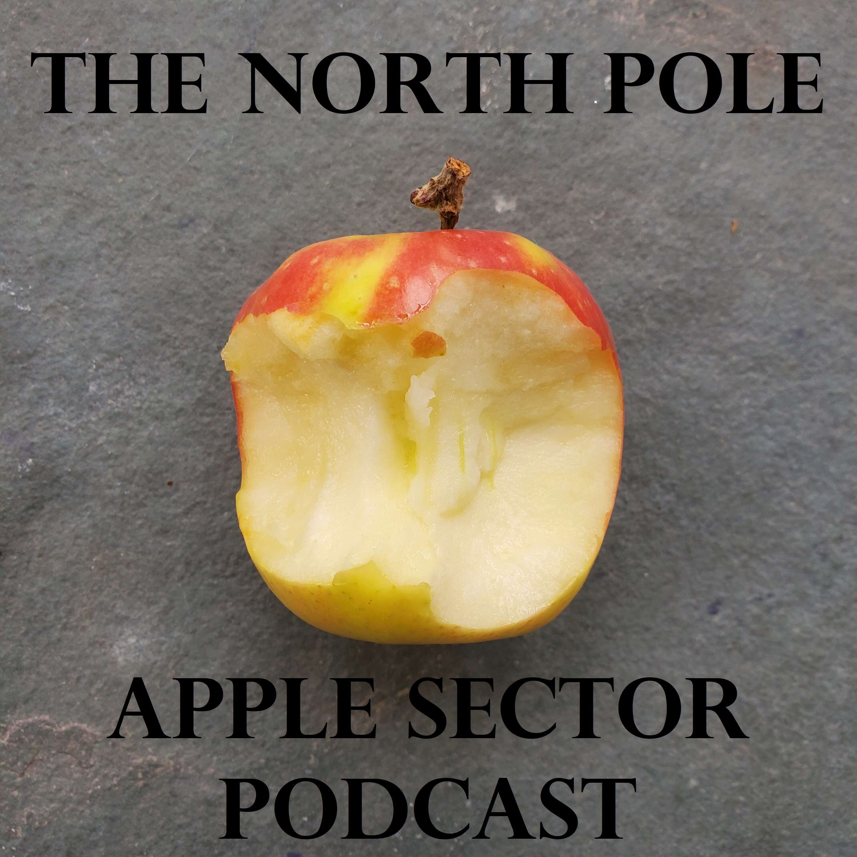 Artwork for The North Pole Apple Sector Podcast