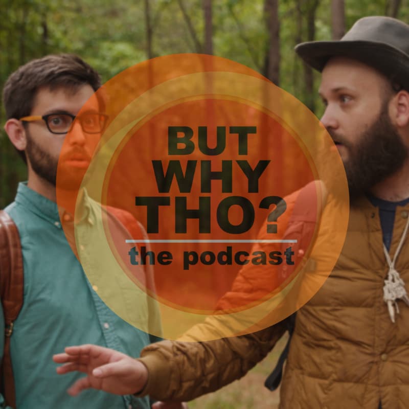 Artwork for podcast But Why Tho?