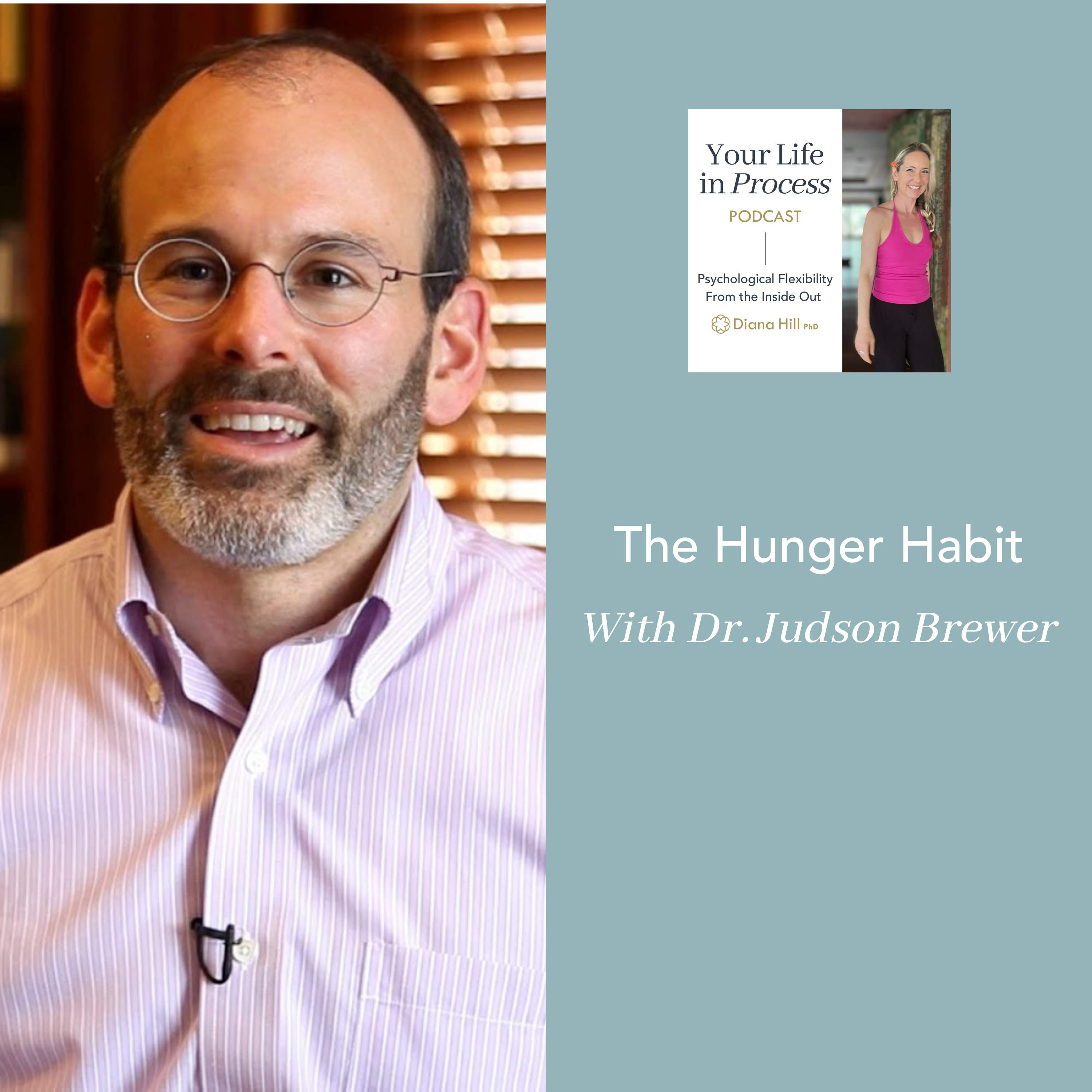 The Hunger Habit With Dr. Judson Brewer
