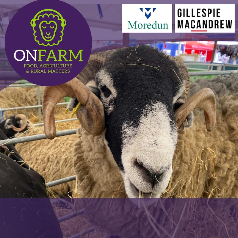 Artwork for podcast OnFARM Scottish farming podcast