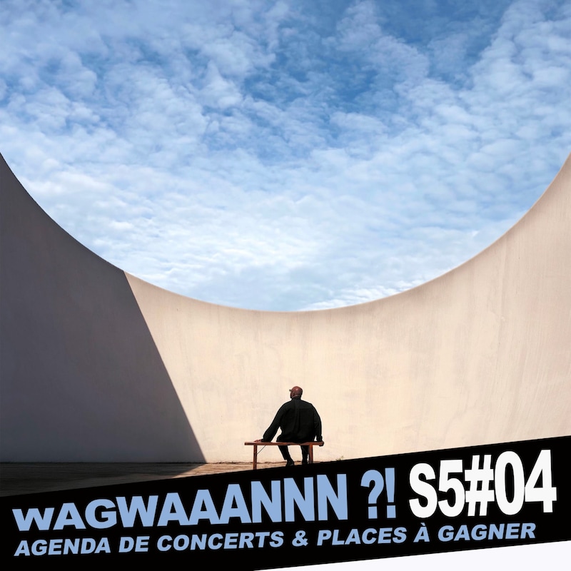 Artwork for podcast WAGWAAANNN ?!