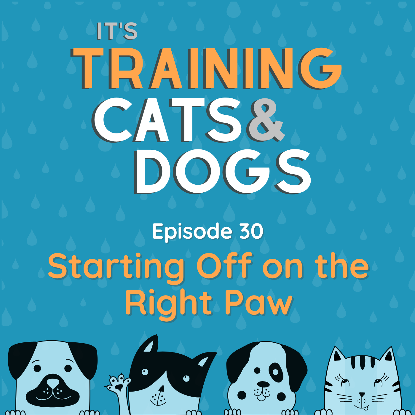Artwork for podcast It's Training Cats and Dogs!