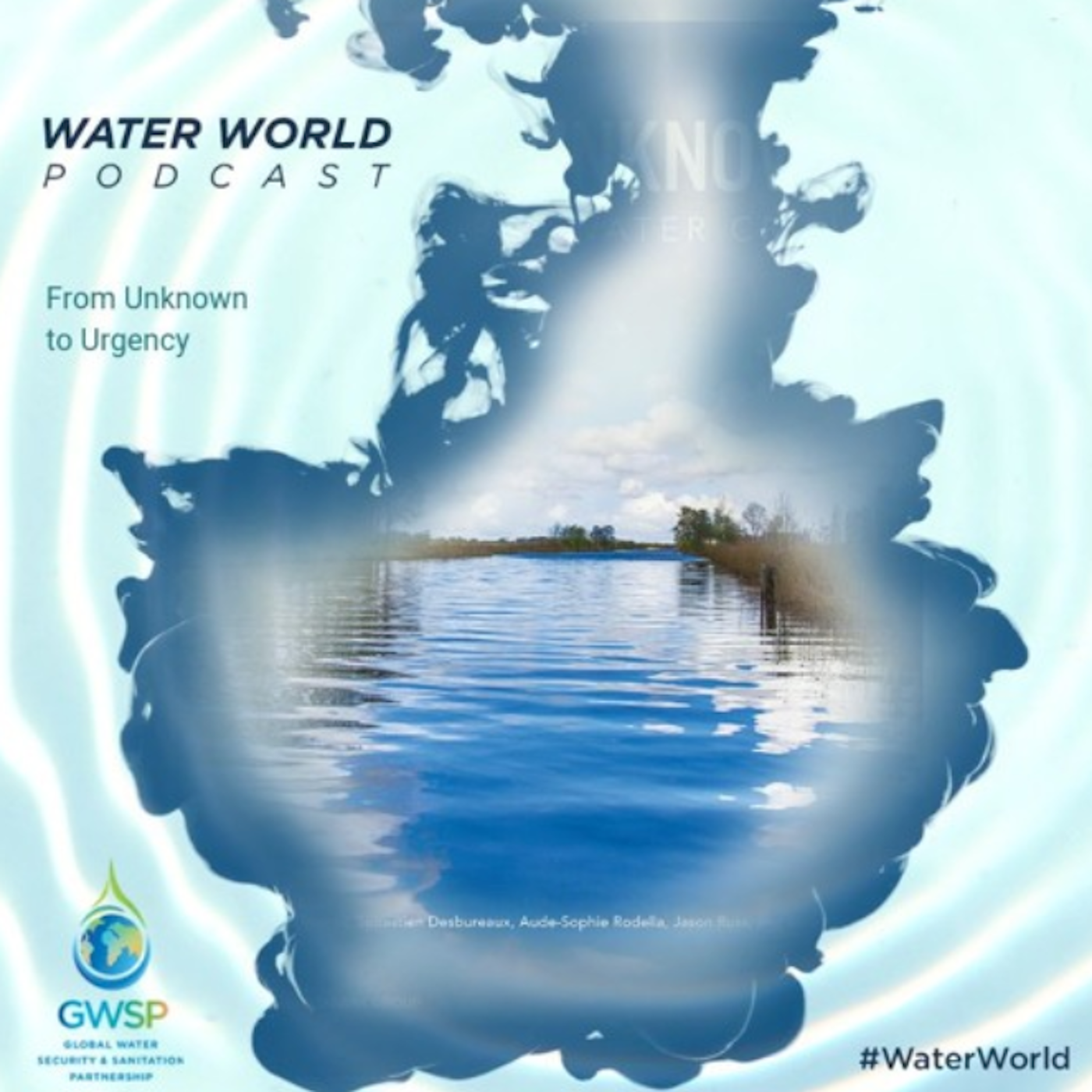 Artwork for podcast Water World