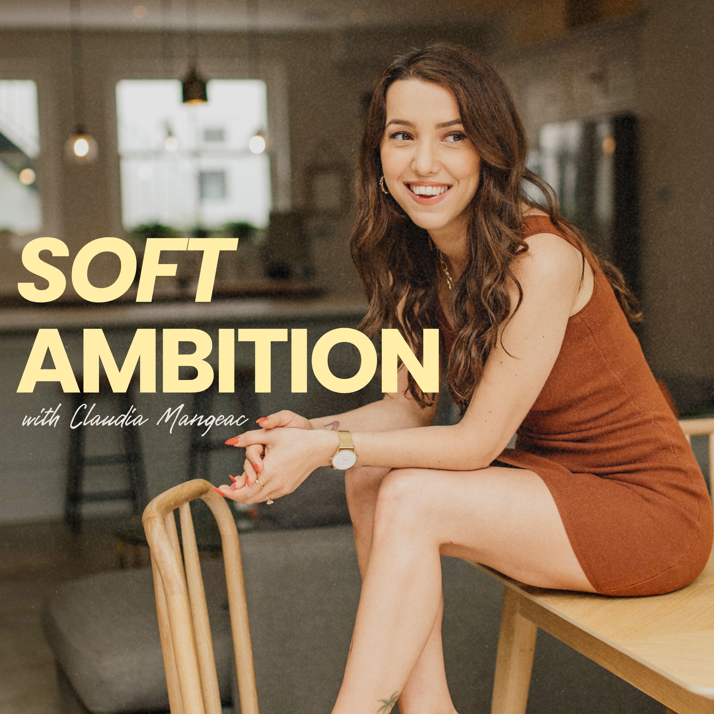 Artwork for Soft Ambition