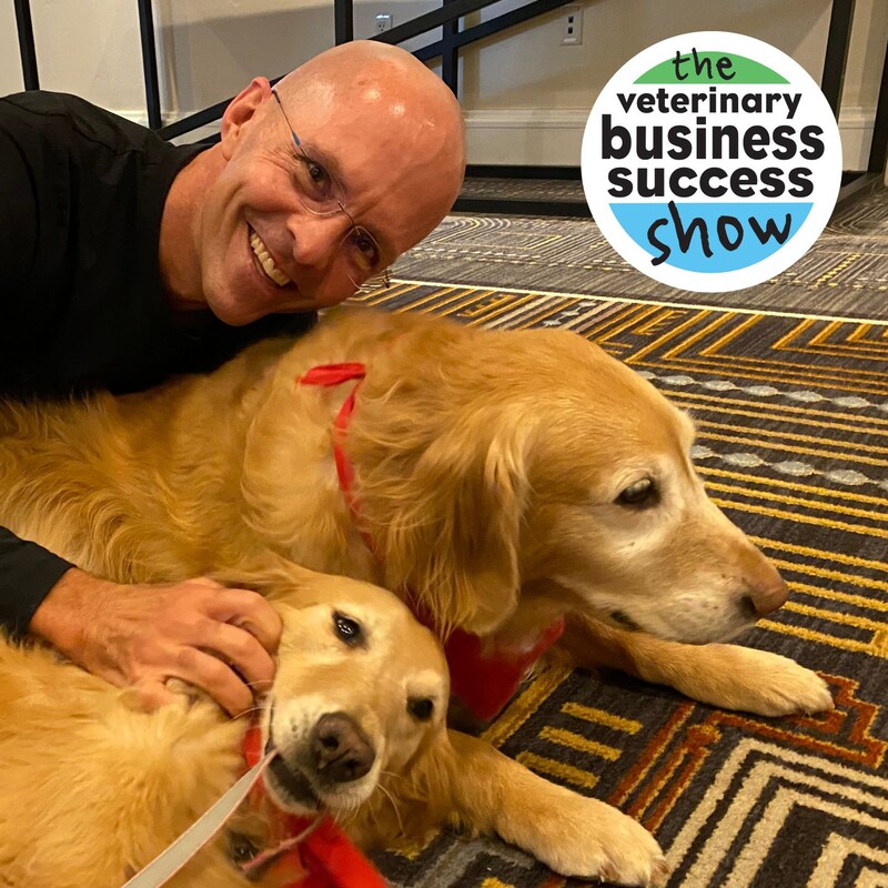 Artwork for podcast The Veterinary Leadership Success Show
