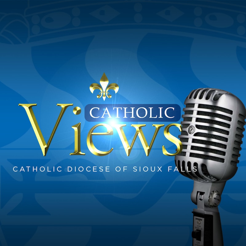 Artwork for podcast Catholic Views