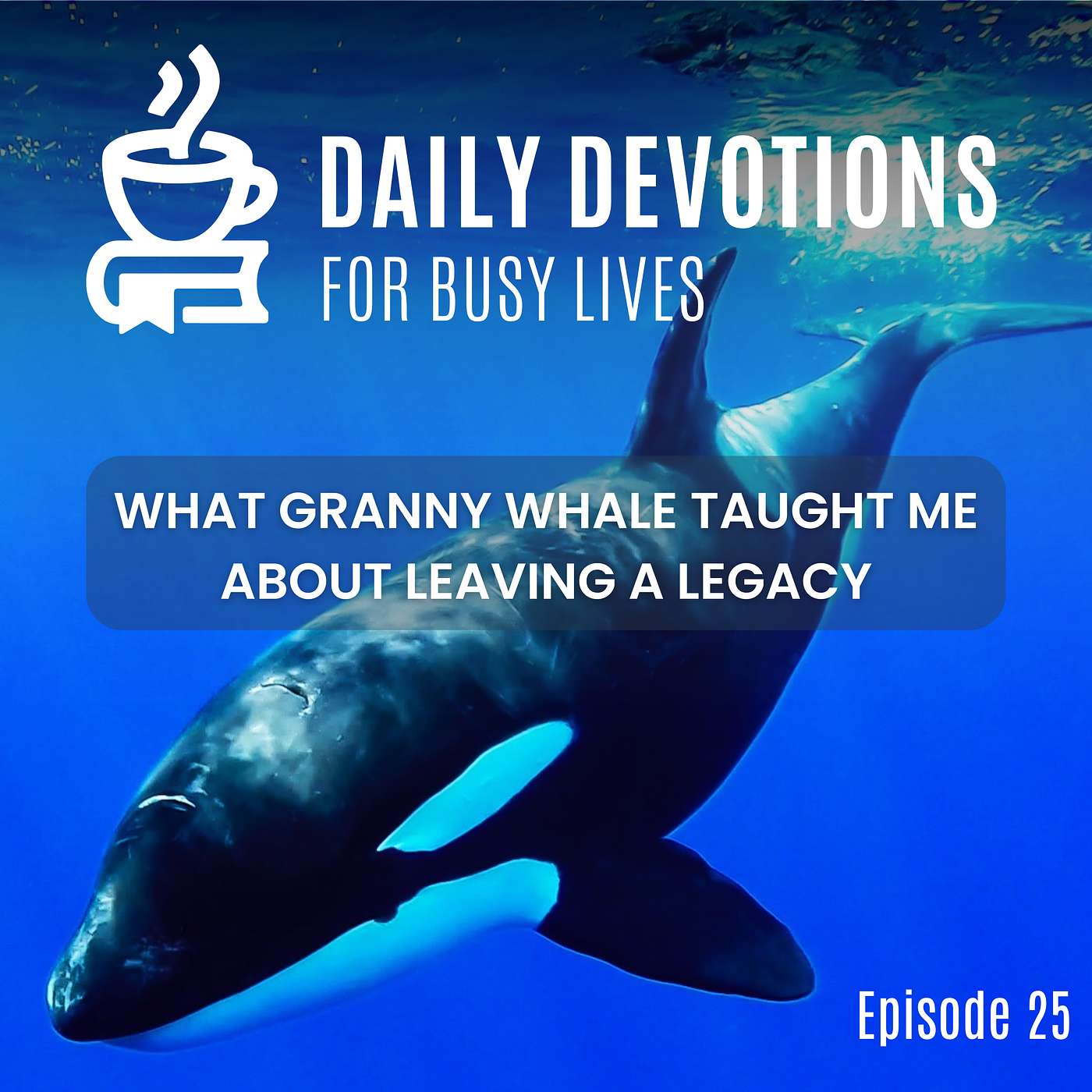 What Granny Whale Taught Me About Leaving a Legacy