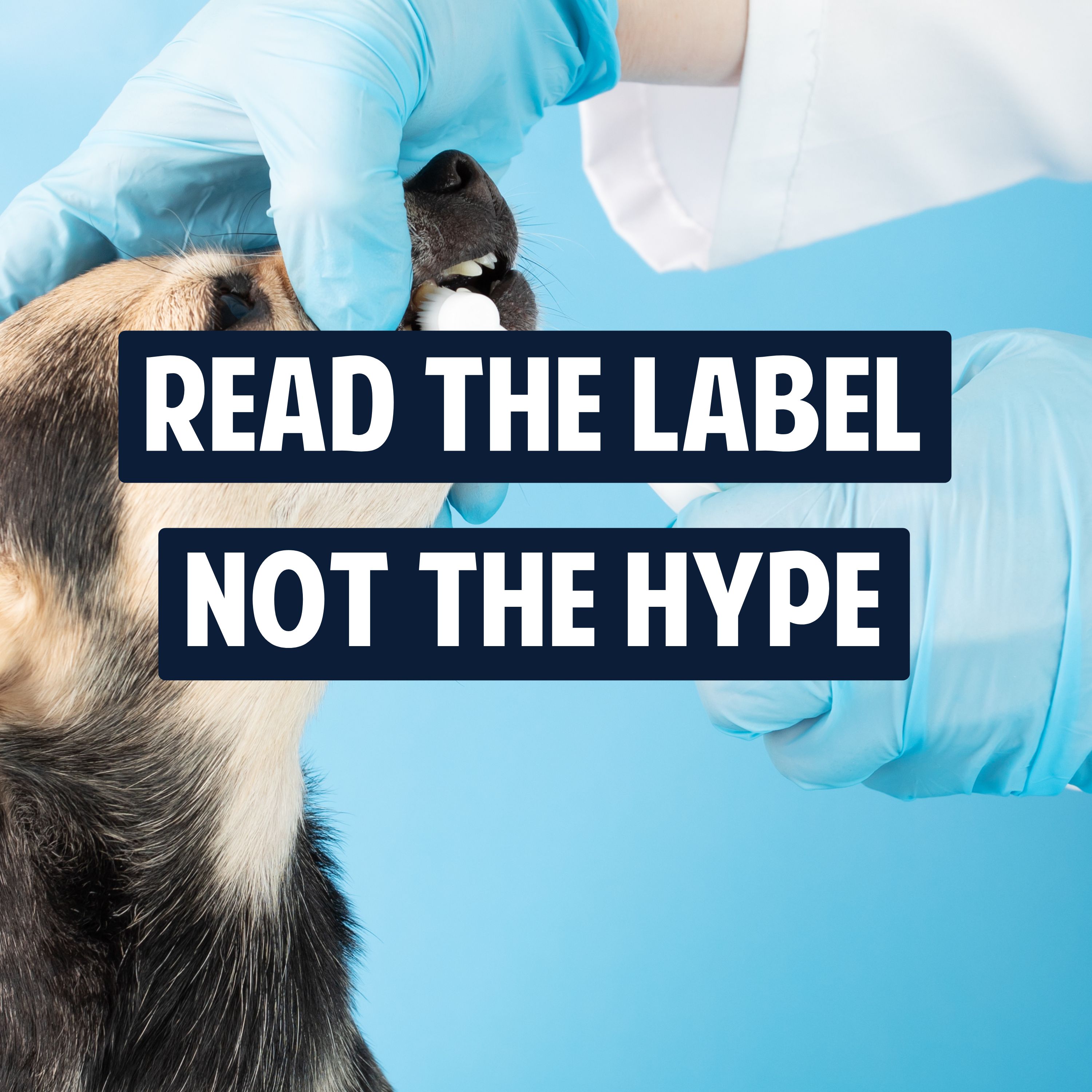 25: Read the Label, Not the Hype - The Real Science Behind Enzymatic Dog Toothpaste with Dr. Rob Karlinsey episode artwork