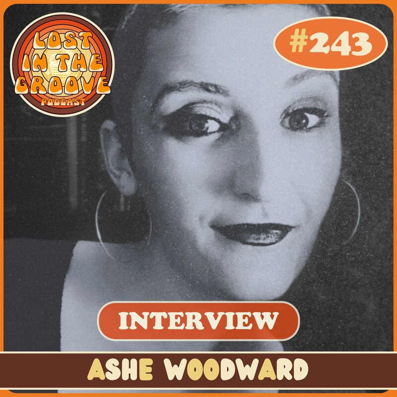 Artwork for podcast Lost in the Groove