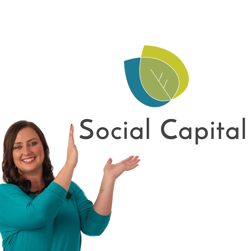 Artwork for podcast Social Capital