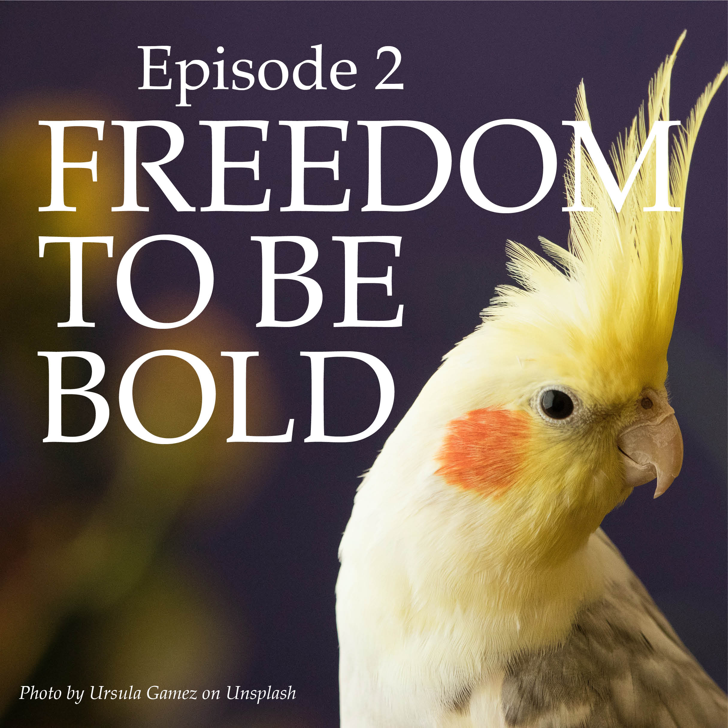 Artwork for podcast Real Life Real Freedom