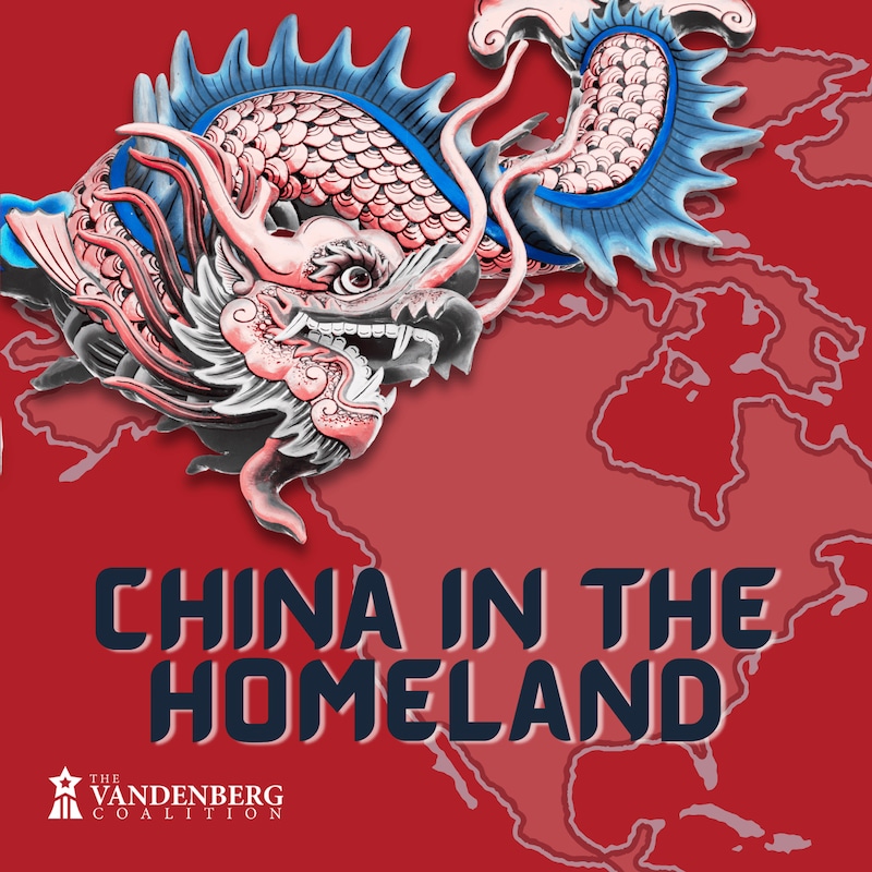 Artwork for podcast China in the Homeland