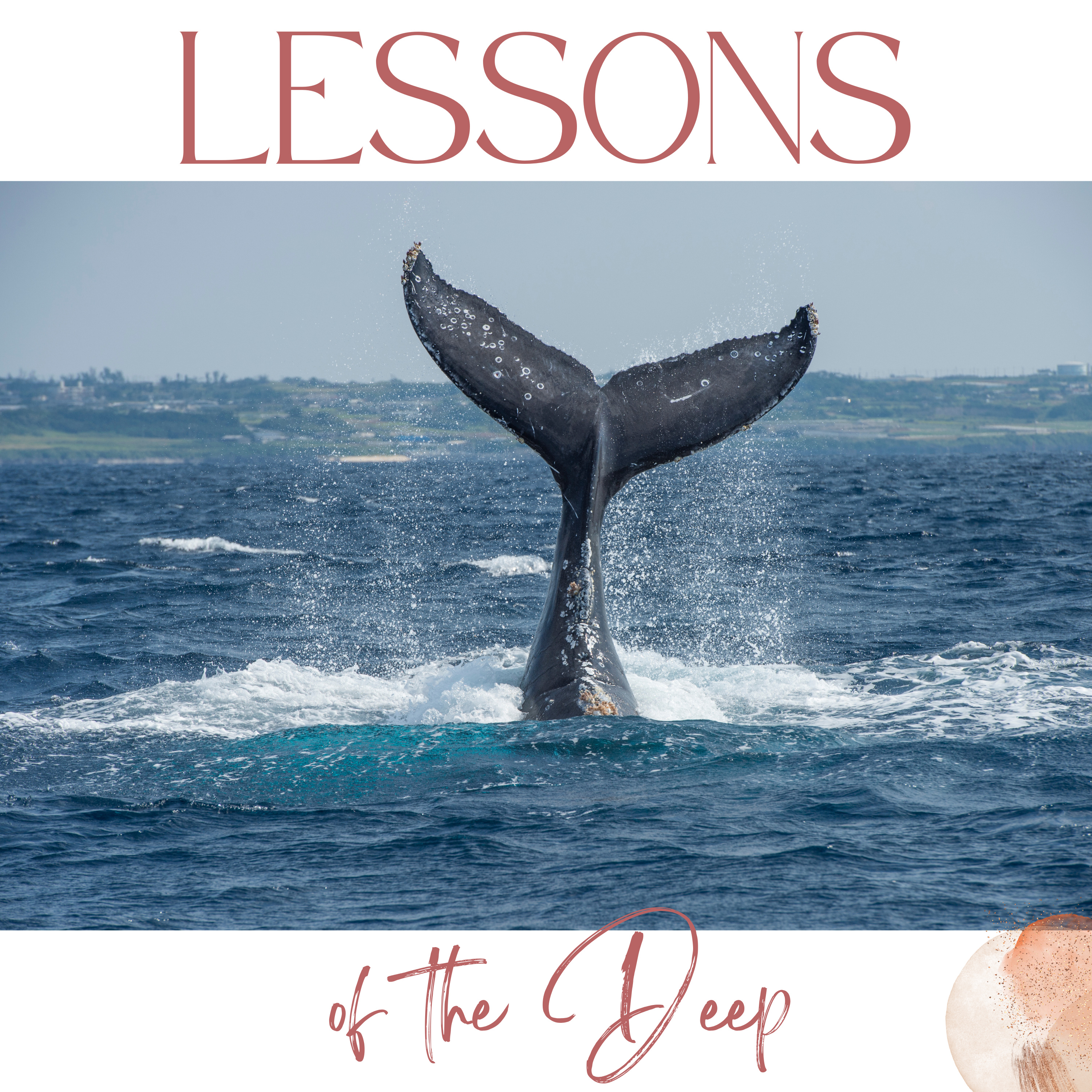 #173 Last-Minute Whale Sighting: The Magic of the Moment and the Lessons of the Deep episode artwork