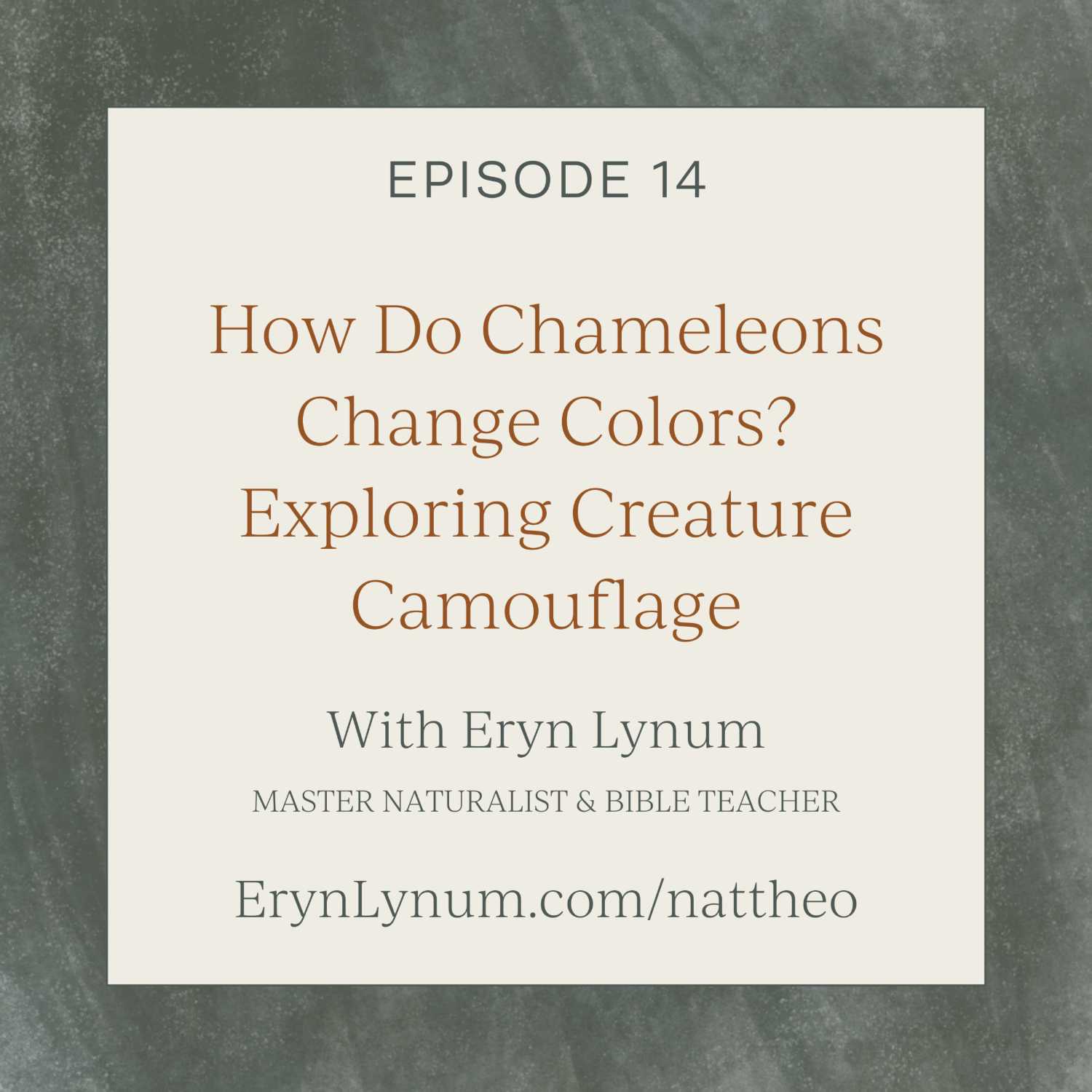 How Do Chameleons Change Colors? Exploring Creature Camouflage