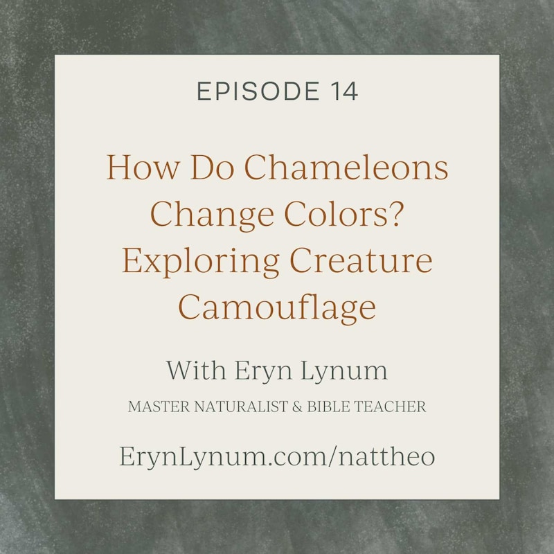 Artwork for podcast Nat Theo Nature Lessons Rooted in the Bible