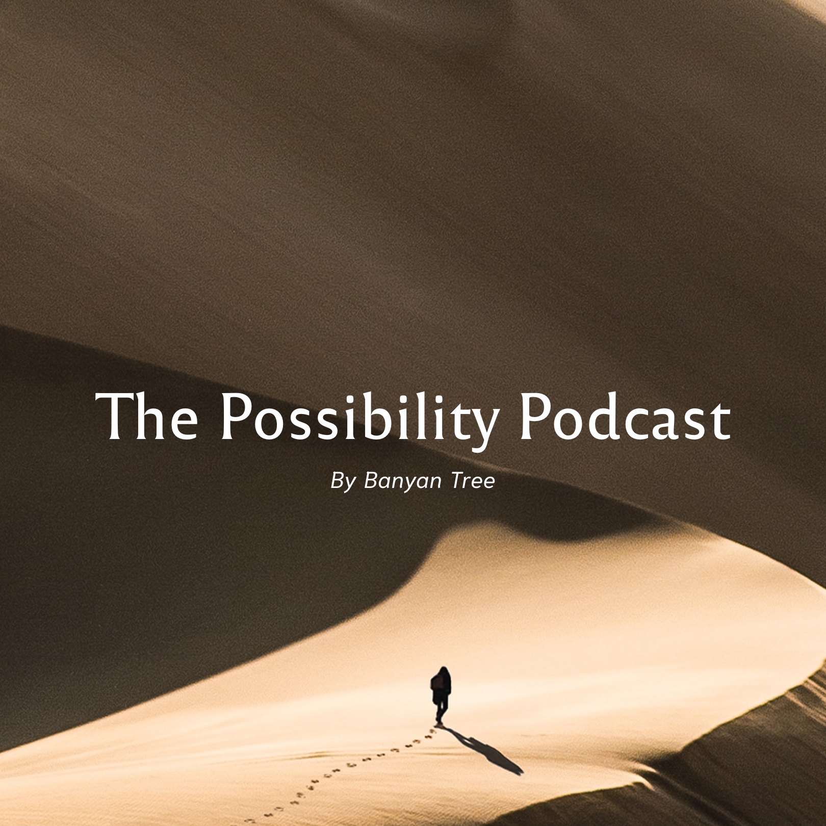 Artwork for The Possibility Podcast