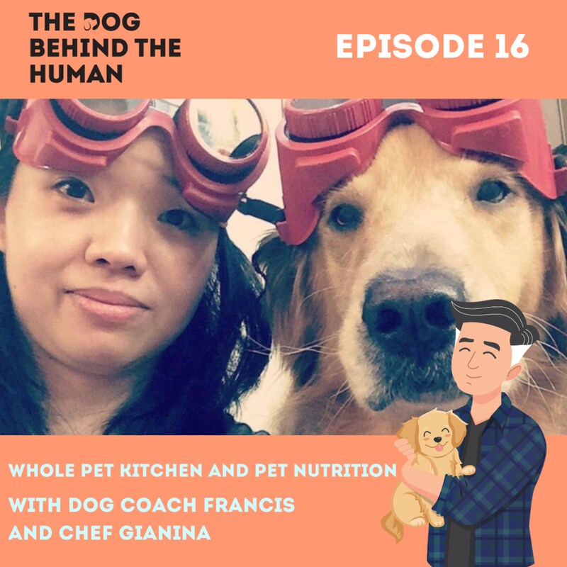 Artwork for podcast The Dog Behind The Human