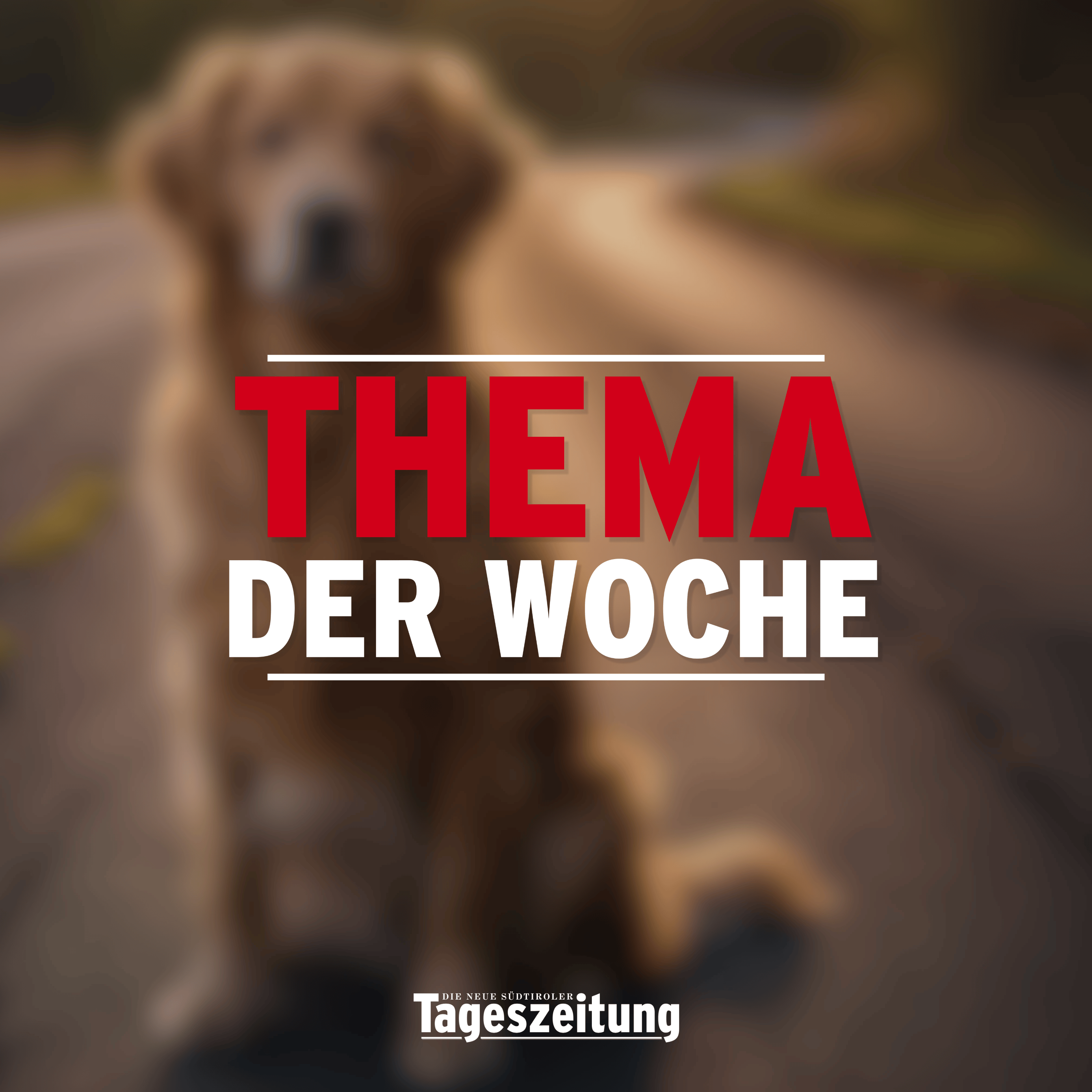 Thema der Woche – Hundesteuer in Südtirol? Zwischen Image-Sorgen und Kritik am Gesetzesentwurf (mit Arnold Schuler und Raffael Mooswalder) - Thema der Woche