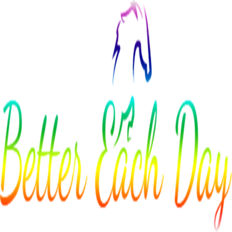 Artwork for podcast Better Each Day Podcast Radio Show with Bruce Hilliard