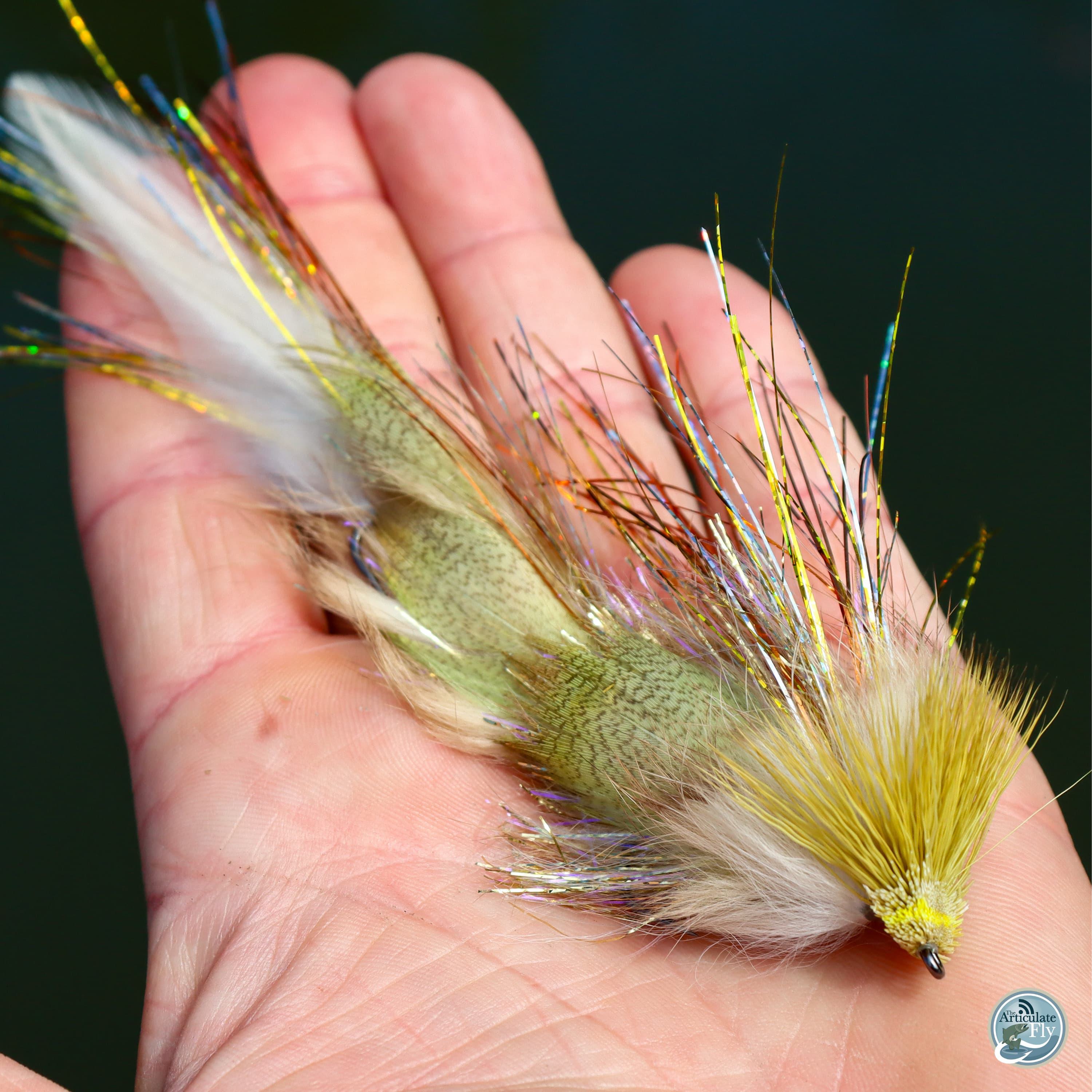 S7, Ep 78: Casting into Autumn: Tips and Tricks for Fall Fishing in East Tennessee