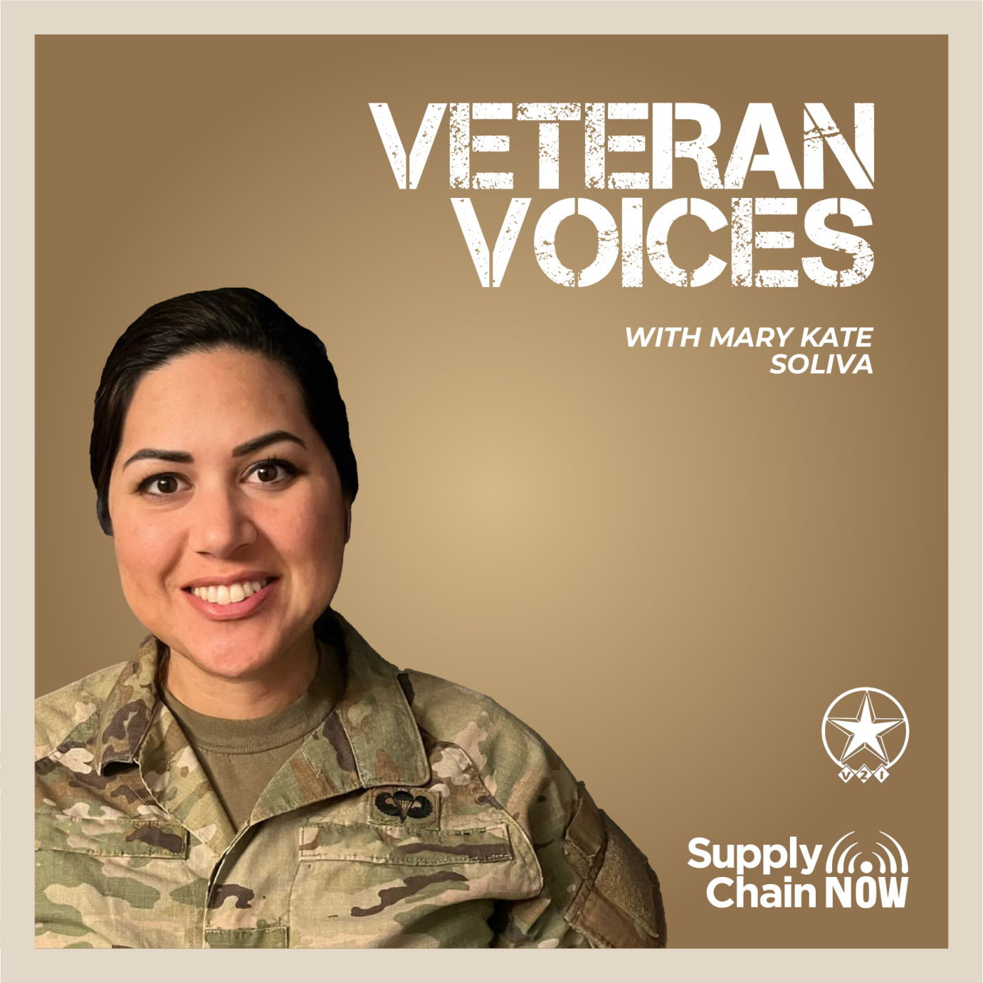 Artwork for podcast Veteran Voices