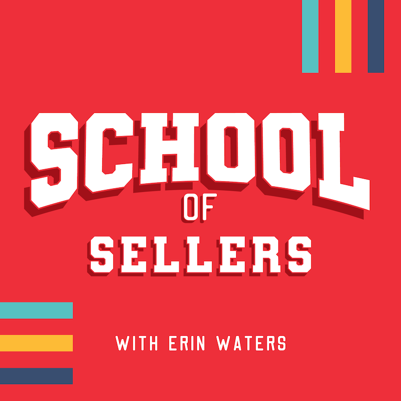 Artwork for podcast School of Sellers: TPT Strategies, Tips, + Seller Stories