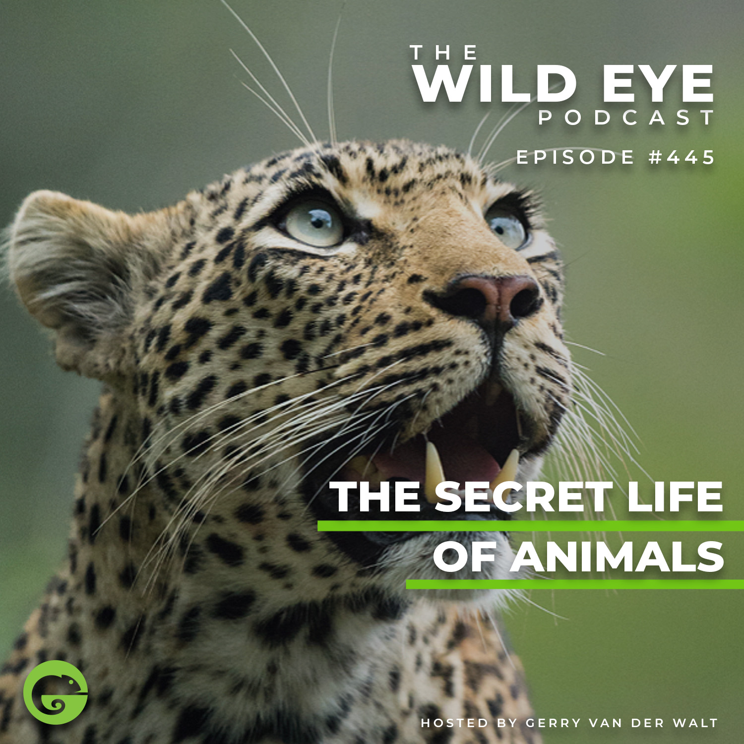 #445 - The secret life of animals