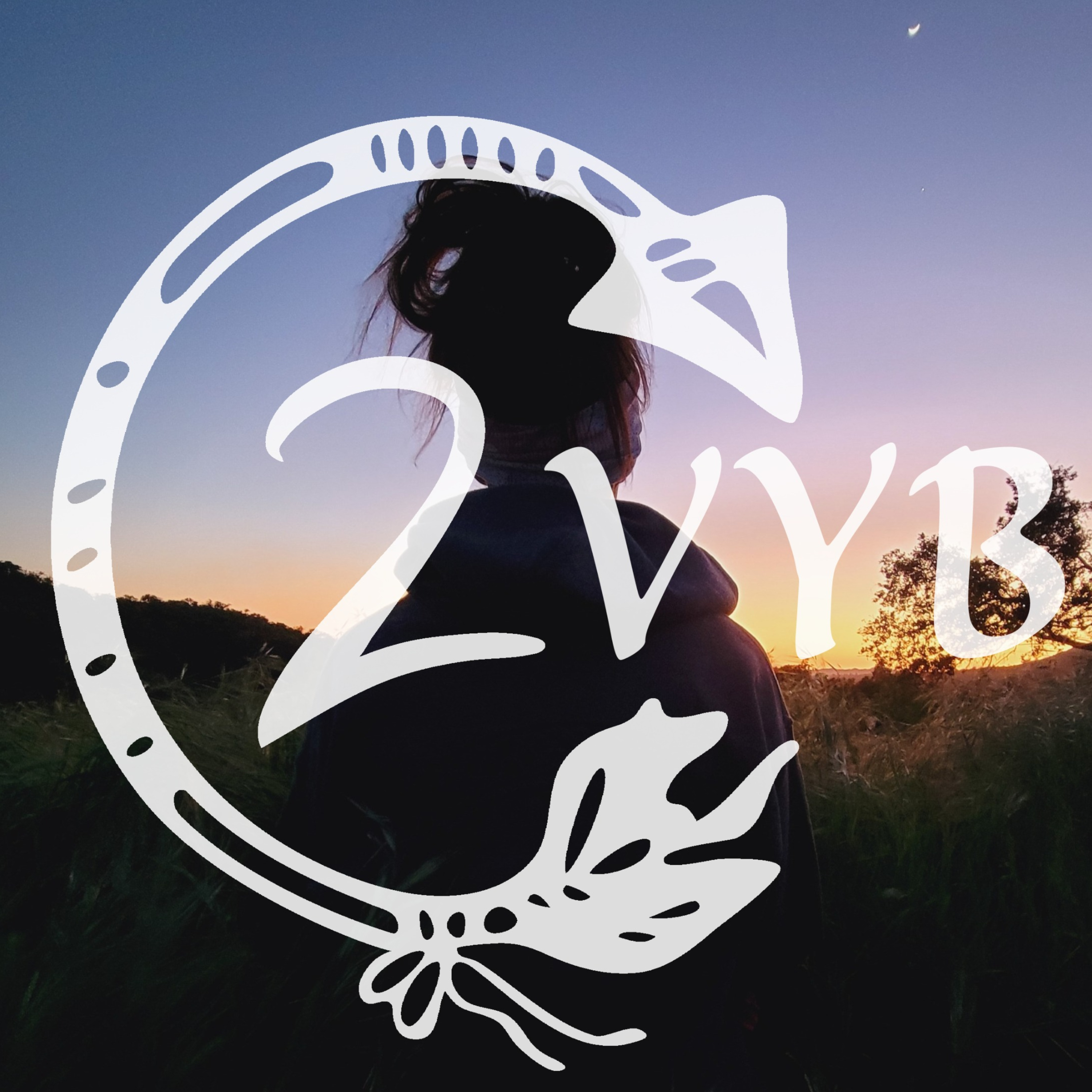 Find Your Way2Vyb