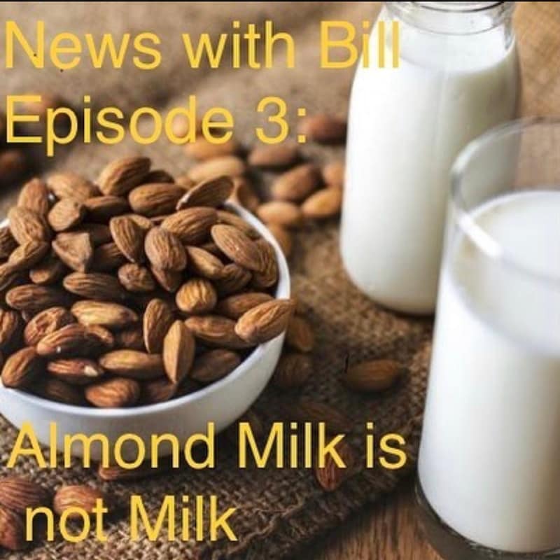 Artwork for podcast News with Bill