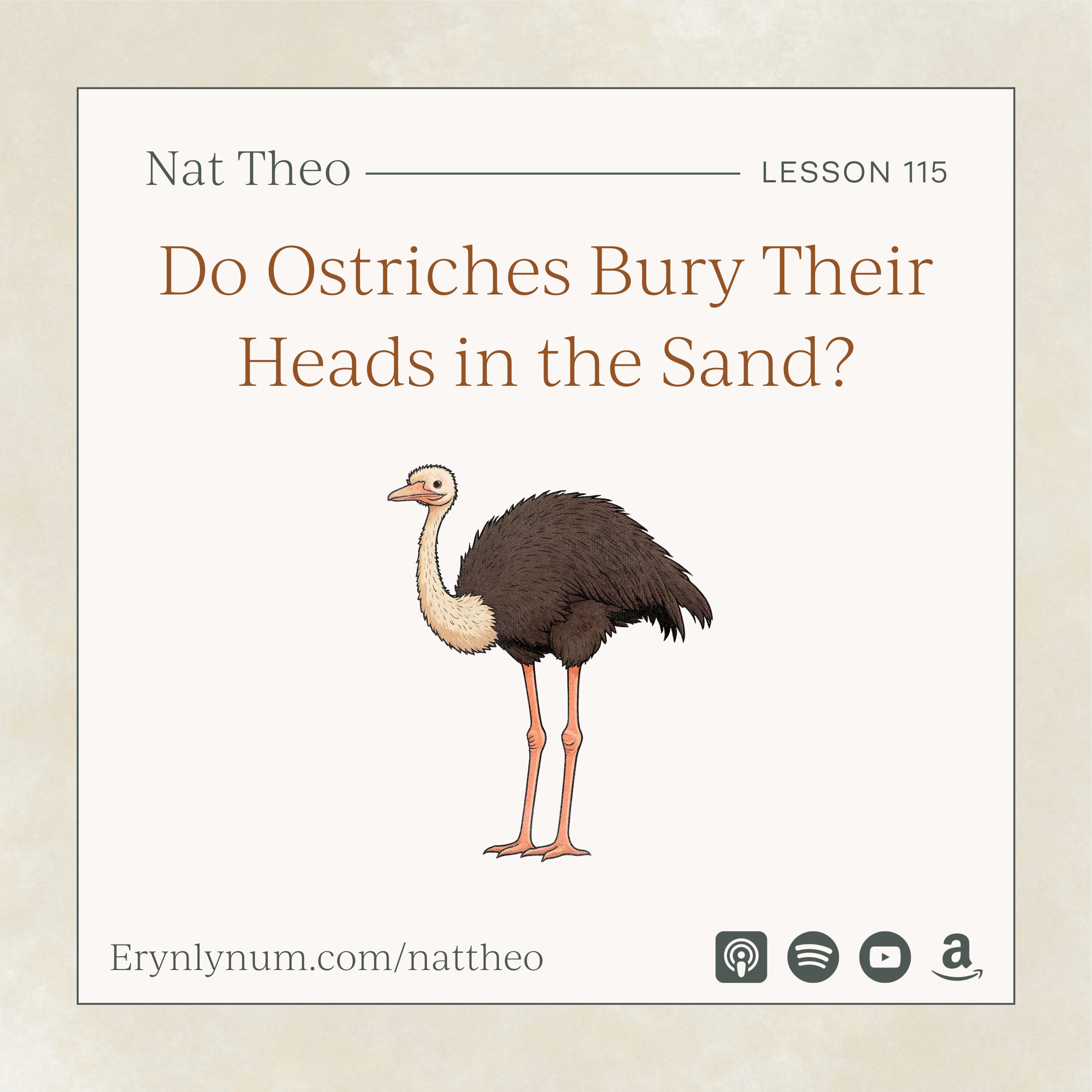 Do Ostriches Bury Their Heads in the Sand? Lesson 115