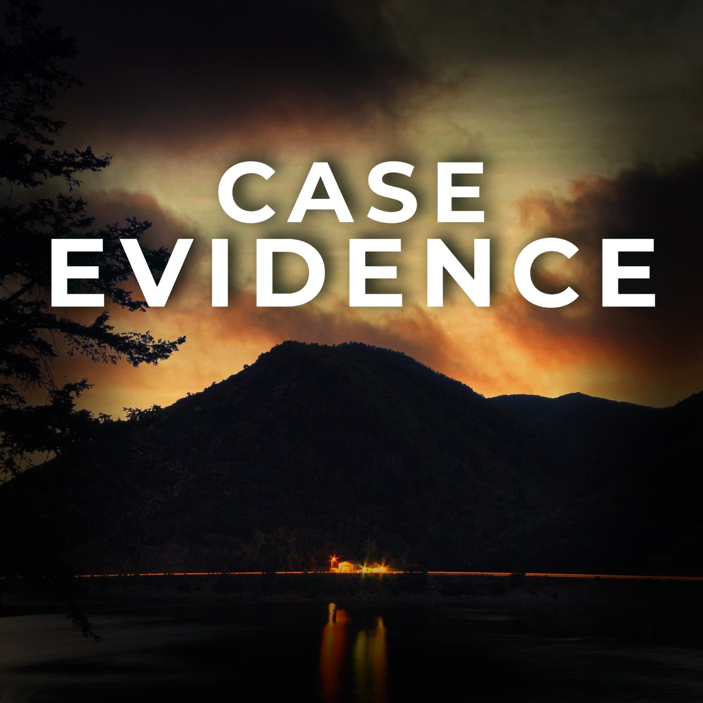 Case Evidence - Official Trailer episode artwork