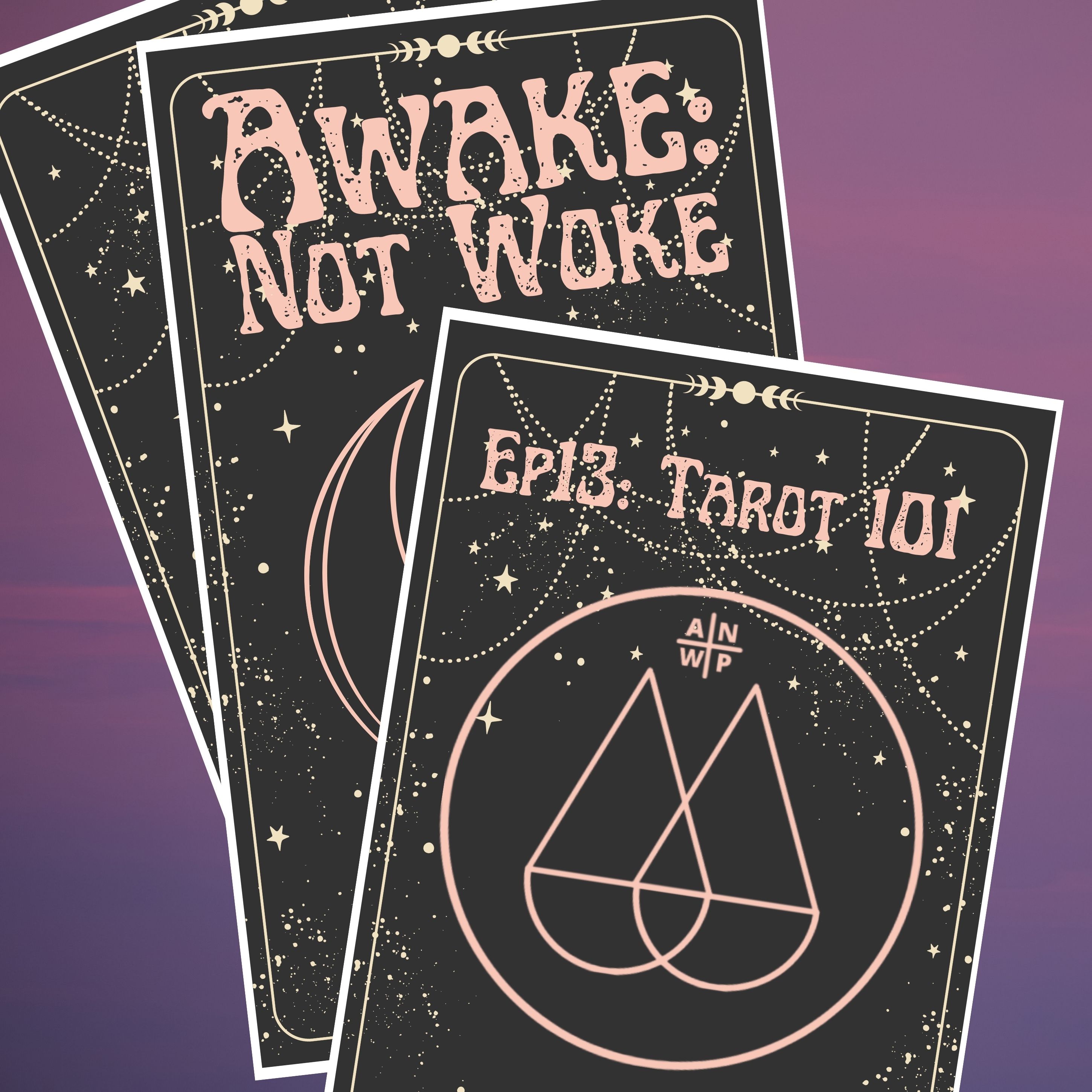 Artwork for podcast Awake: Not Woke