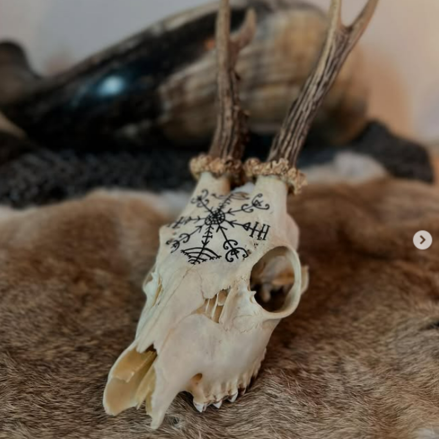 The Bell Witch Podcast