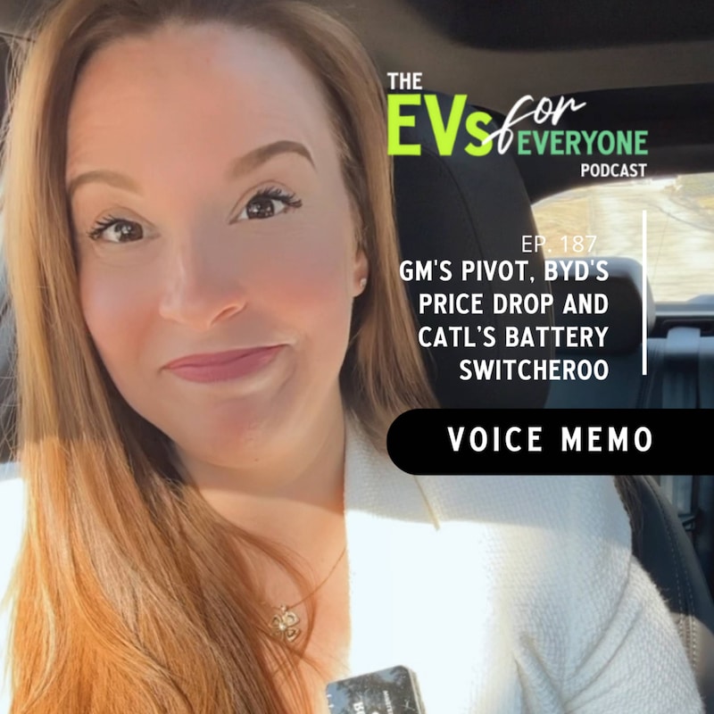 Artwork for podcast The EVs for Everyone Podcast