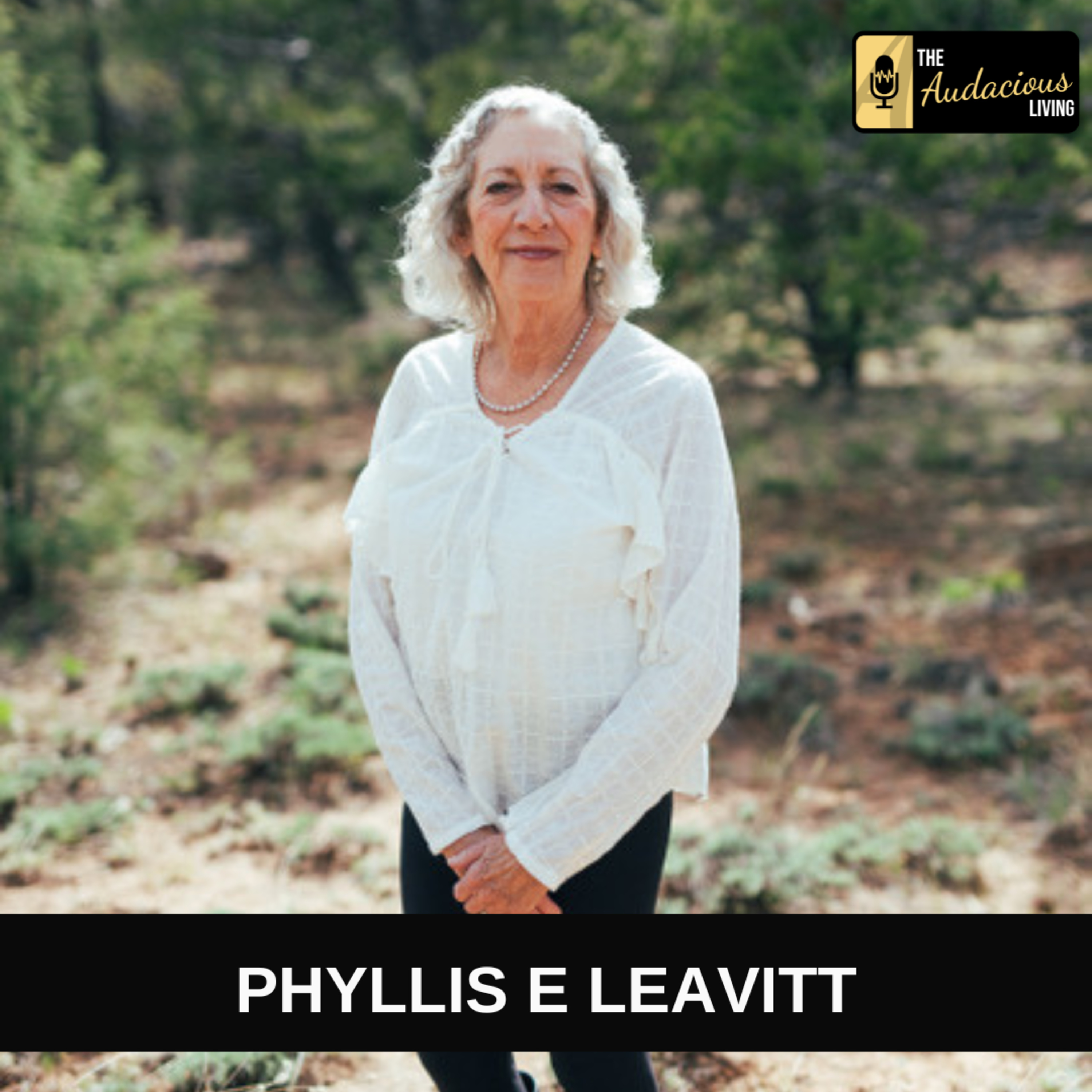 The Audacious Living Podcast