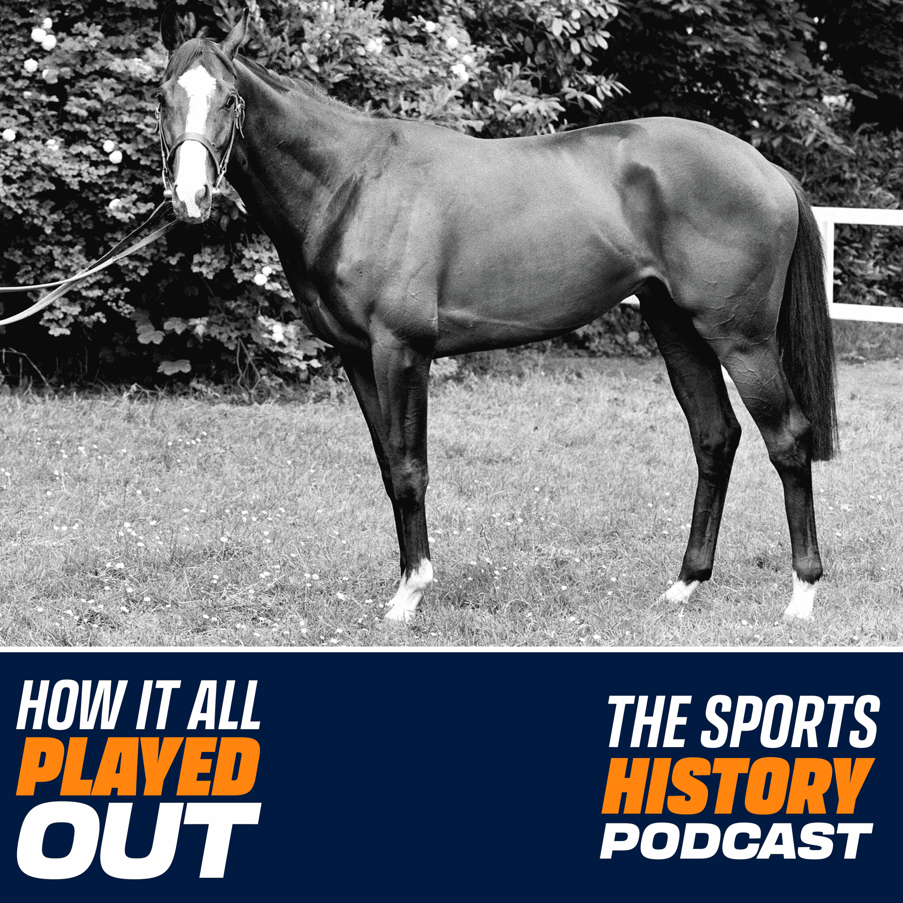 Who Kidnapped Shergar? The Mystery of the World’s Most Famous Racehorse - How It All Played Out