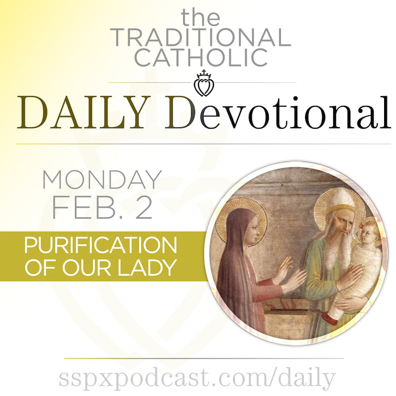 Artwork for podcast Traditional Catholic Daily Devotional