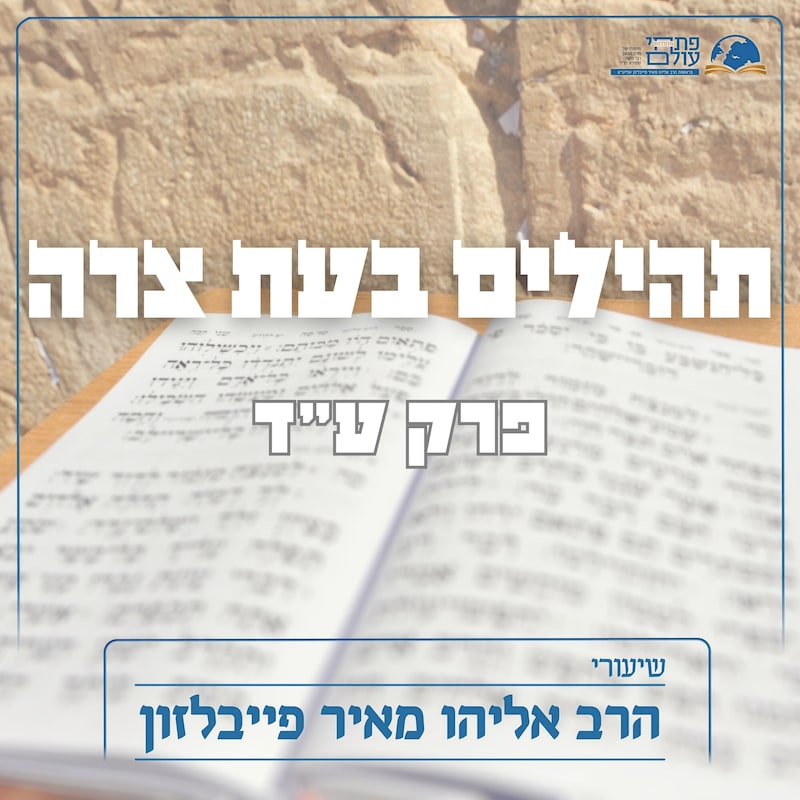 Artwork for podcast שיעורי הרב פייבלזון