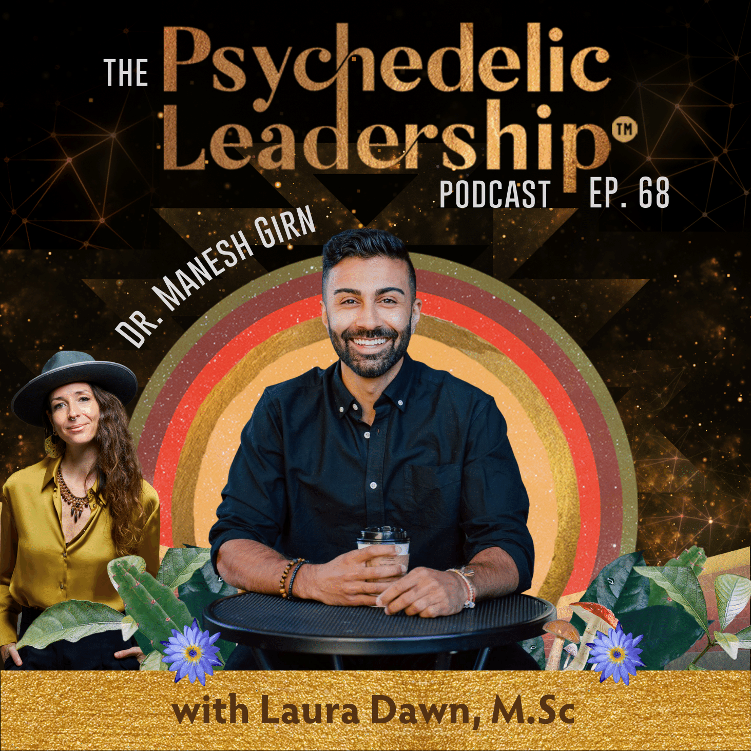 Artwork for podcast The Psychedelic Leadership Podcast