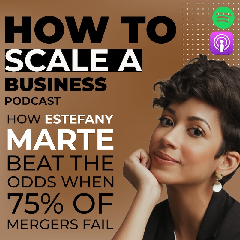Artwork for podcast How to Scale a Business