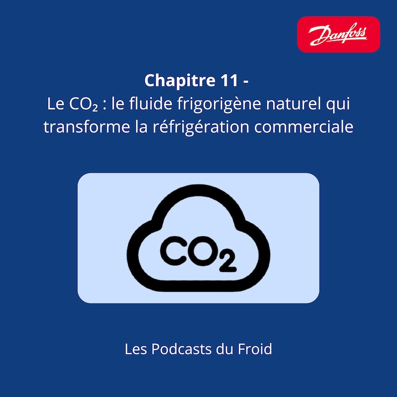 Artwork for podcast Les podcasts du Froid