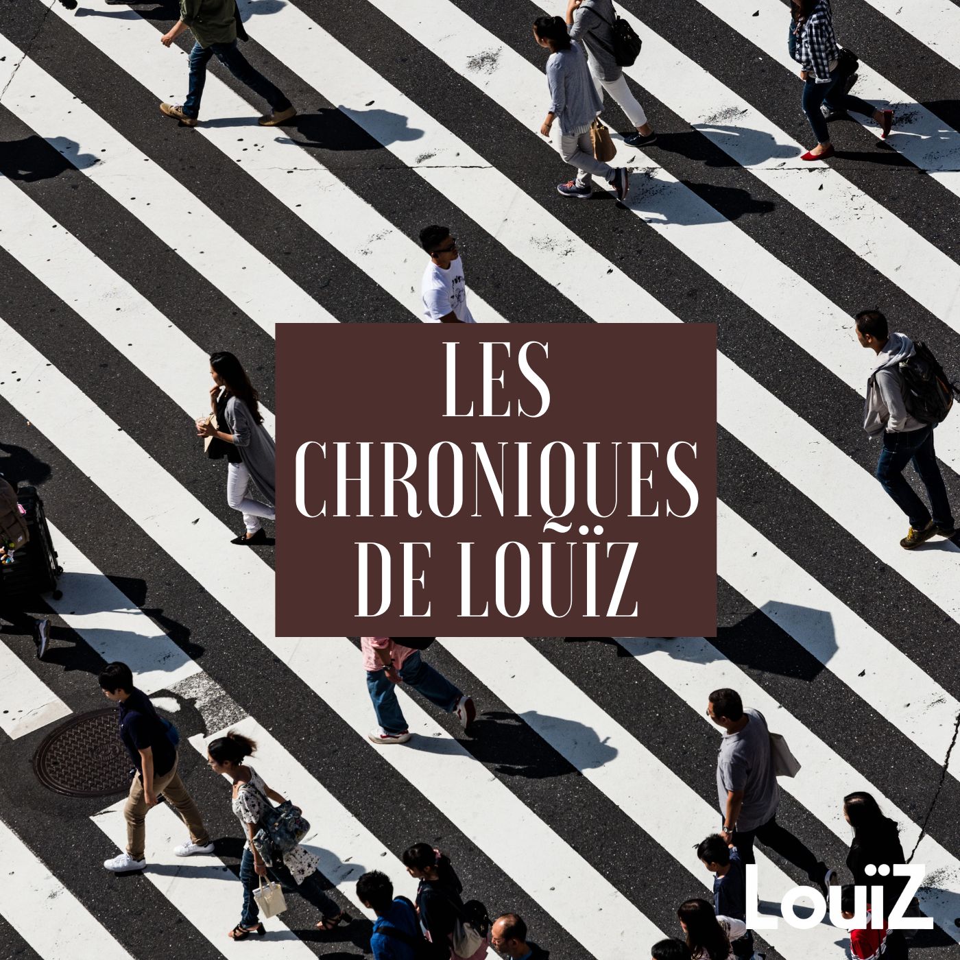 Artwork for podcast Les chroniques de Louïz