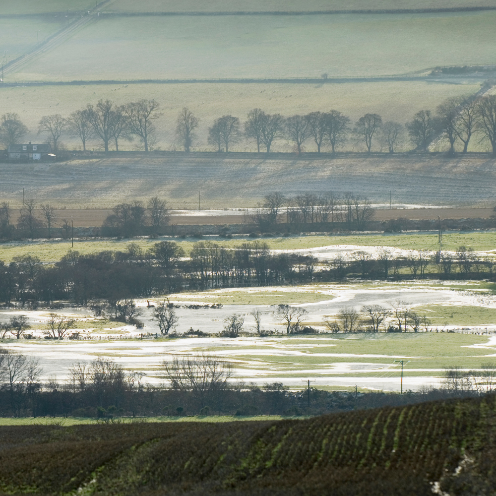 S1: Thrill of The Hill - Natural Flood Management