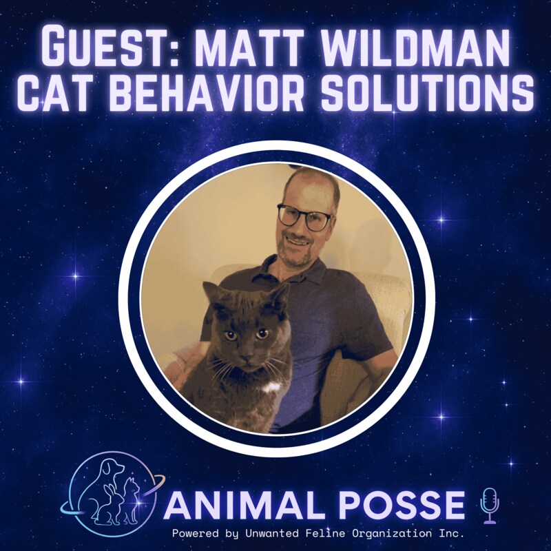 Artwork for podcast Animal Posse