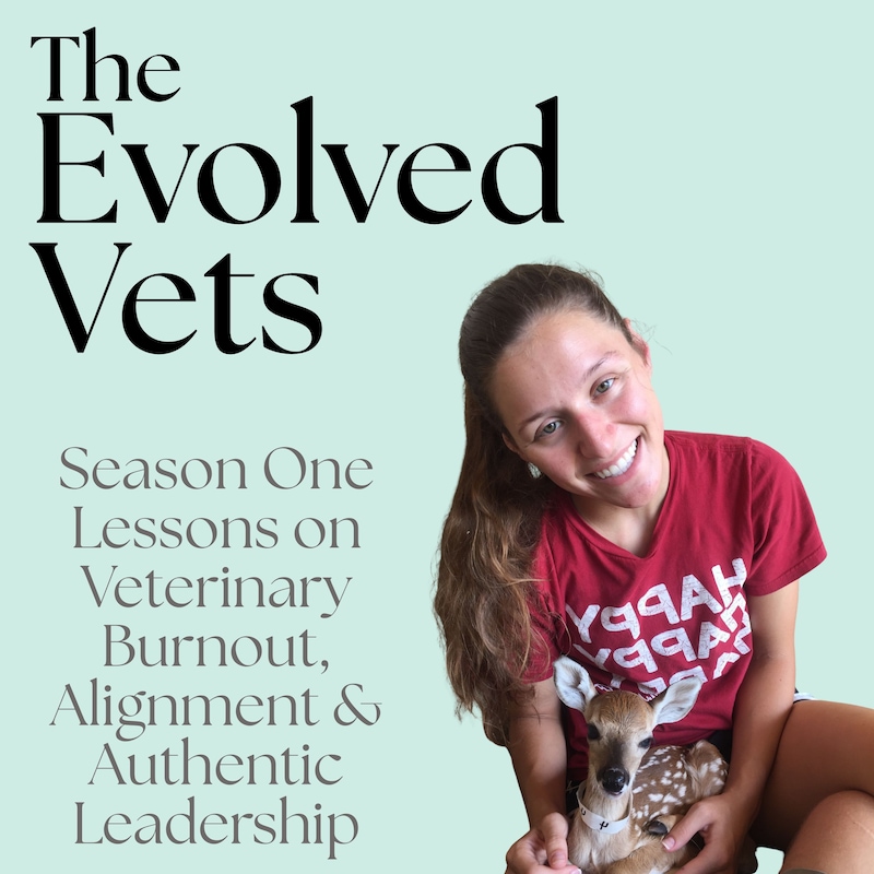 Artwork for podcast The Evolved Vets